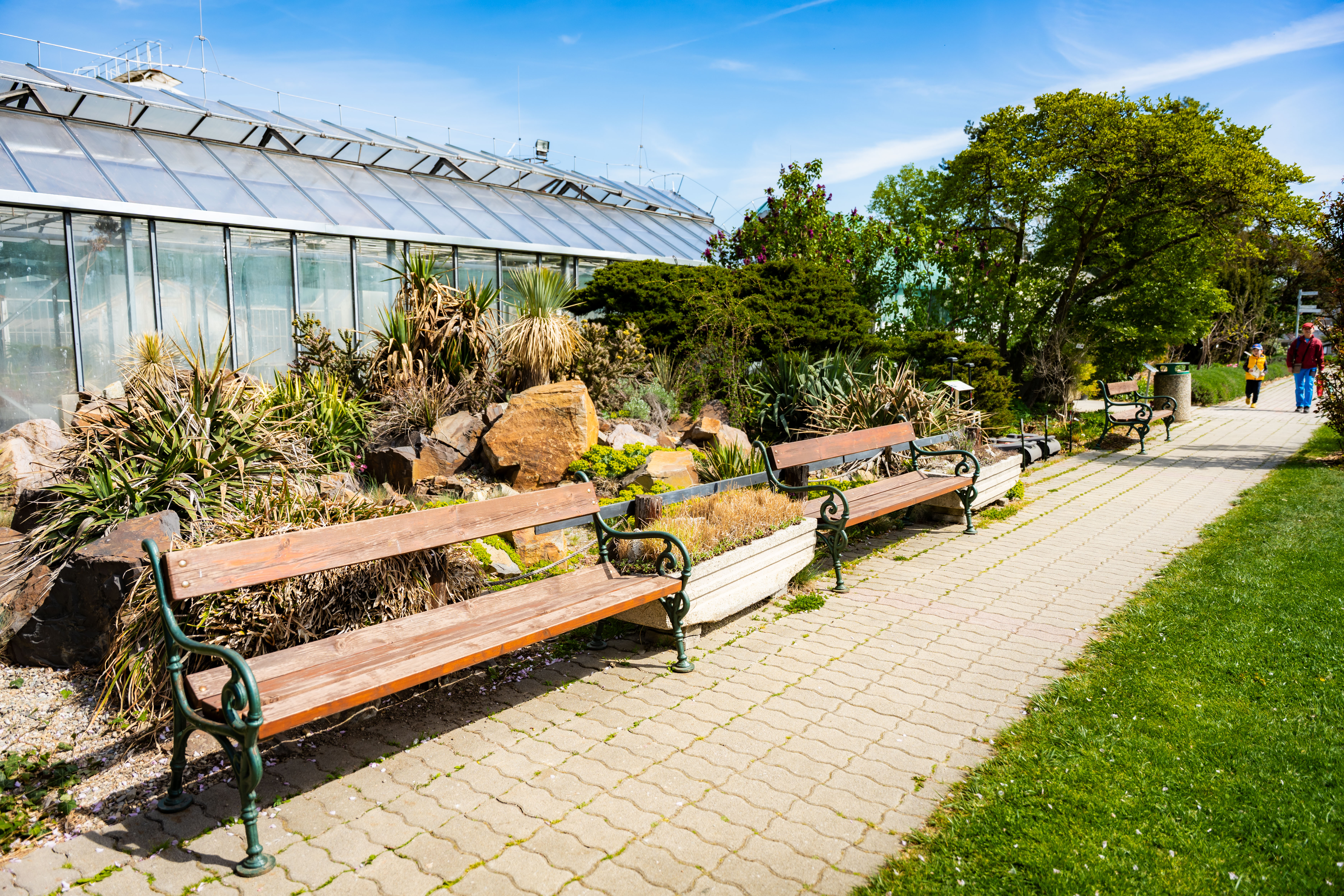 Slavnostne zasadenie stromu do Aleje vyznamnych osobnosti Botanickej zahrady UPJS-1-36